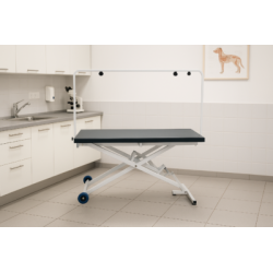 Table electrique Angoumoise pour veterinaire et toiletteur, plateau metal 60 cm
