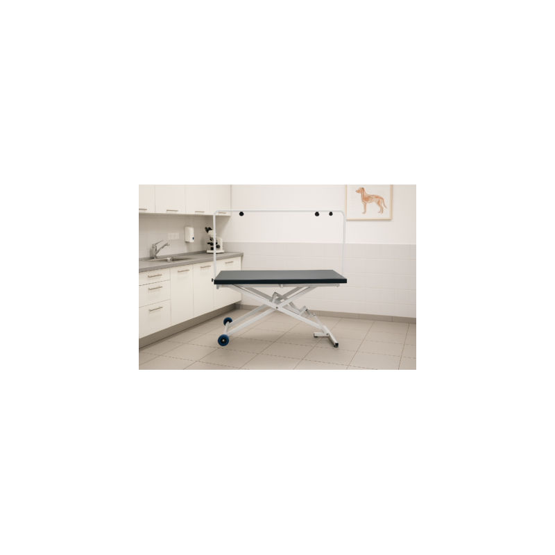 Table electrique Angoumoise pour veterinaire et toiletteur, plateau metal 60 cm