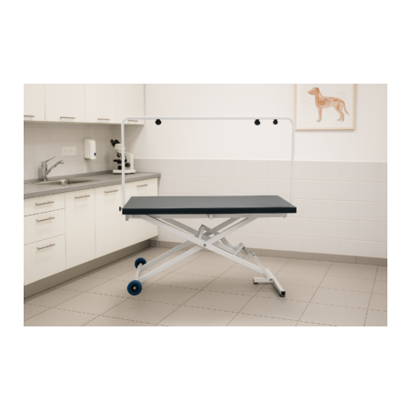Table electrique Angoumoise pour veterinaire et toiletteur, plateau metal 60 cm