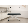 Table electrique Angoumoise pour veterinaire et toiletteur, plateau metal 60 cm